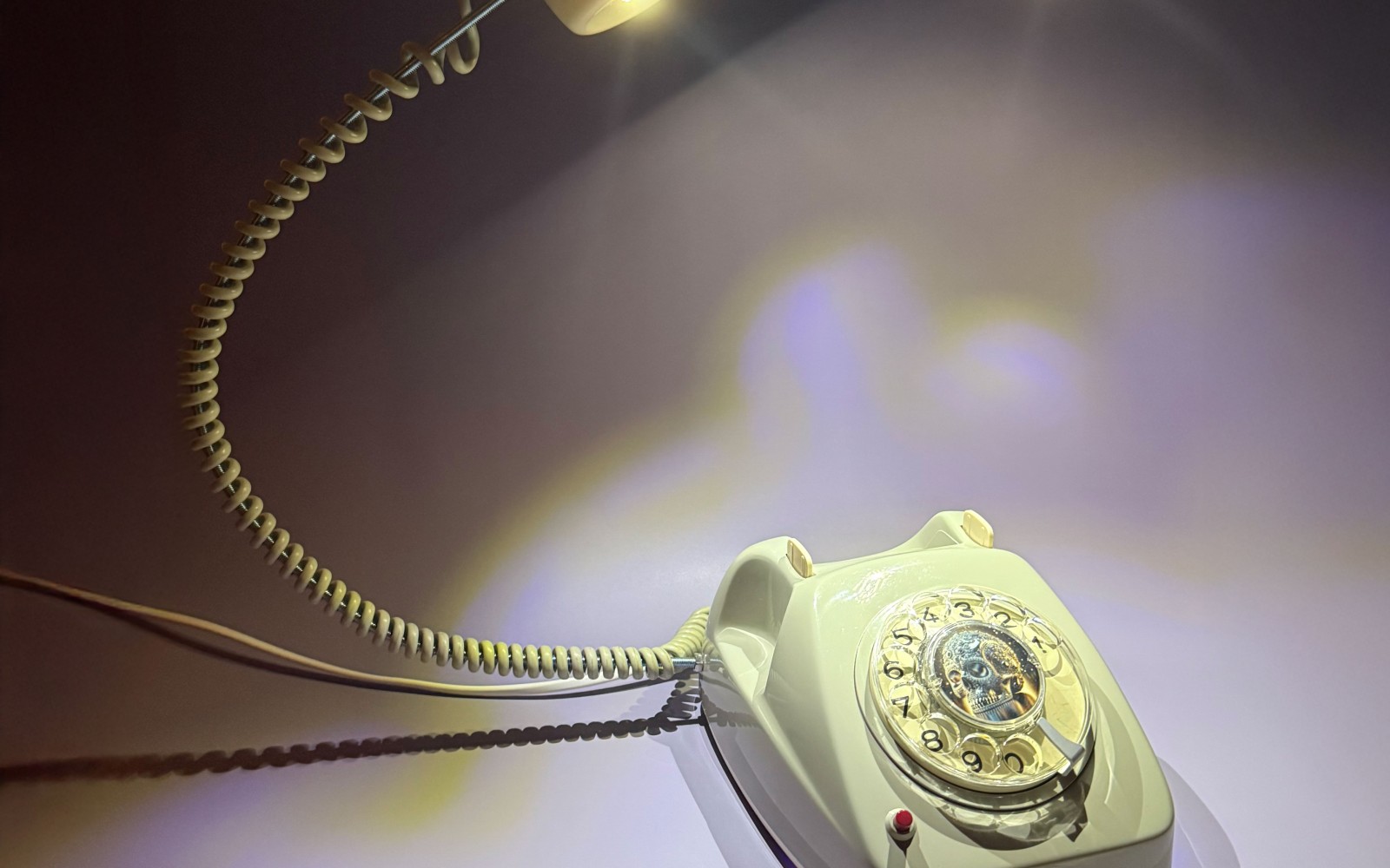 Gray Skull 1977 – photo principale